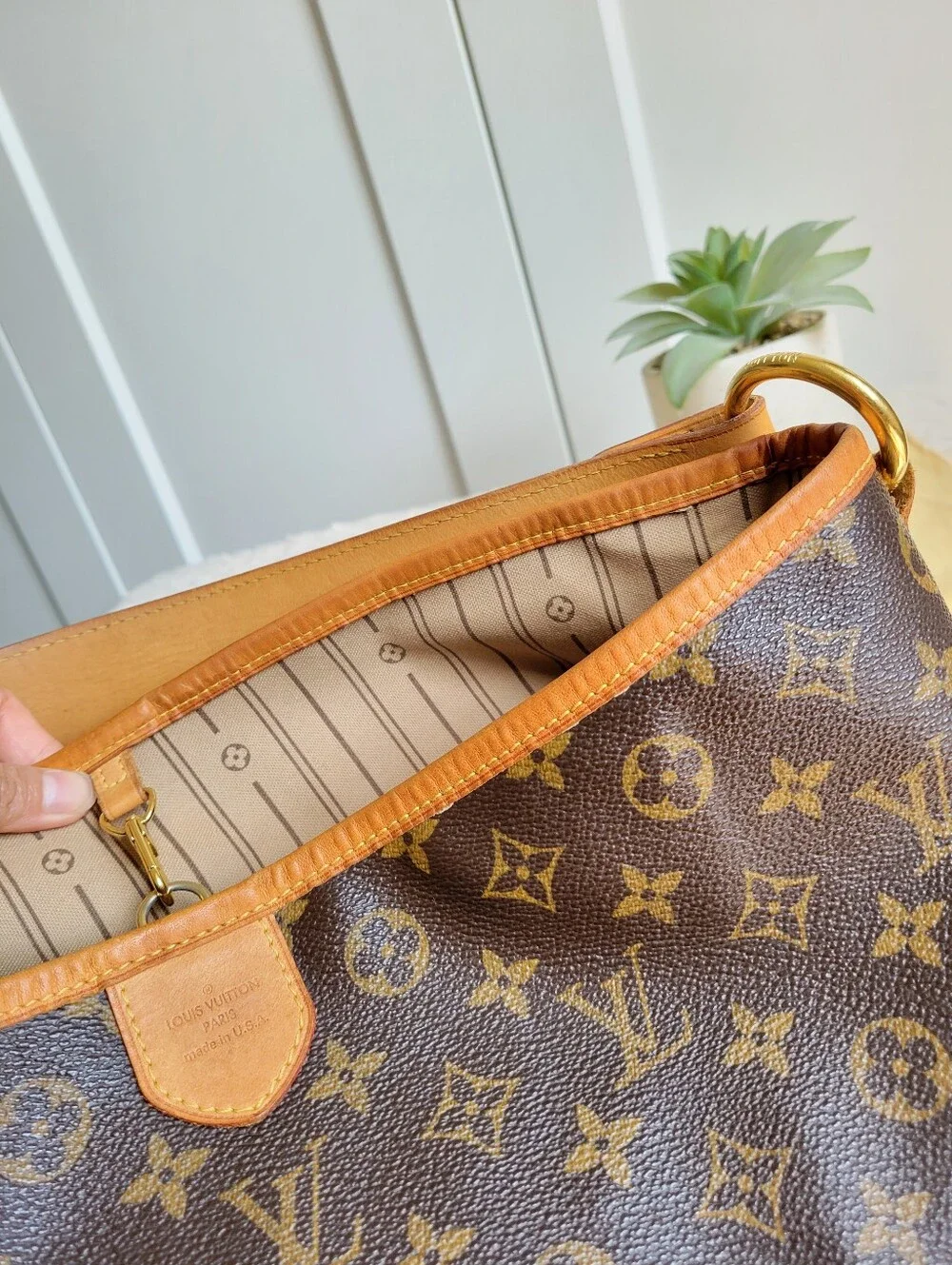 Louis Vuitton DELIGHTFUL PM Hobo Shoulder Bag Monogram